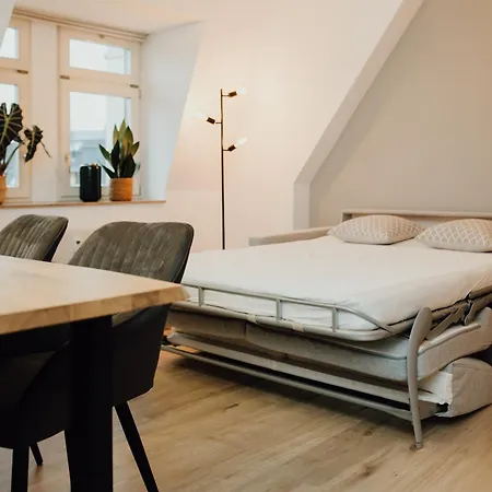 Bestlage Im Hechtviertel & Frisch Saniert 公寓 德累斯顿