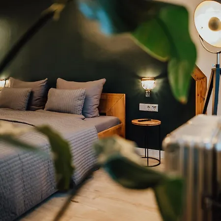 Bestlage Im Hechtviertel & Frisch Saniert 公寓 德累斯顿