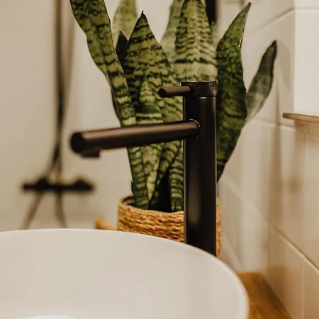 Appartement Bestlage Im Hechtviertel & Frisch Saniert