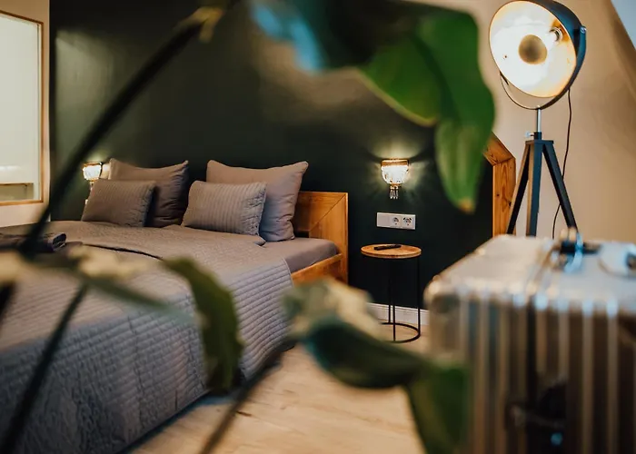 Bestlage Im Hechtviertel & Frisch Saniert 公寓 德累斯顿